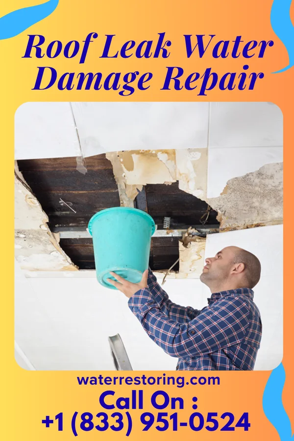 Roof Leak Water Damage Repair in Placerville, ID